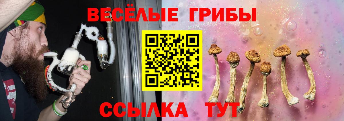 Галлюциногенные грибы Psilocybine cubensis Узловая